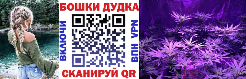Все наркотики Жиздра Бошки Шишки  A-PVP  Псилоцибиновые грибы  АМФЕТАМИН  МЕФ  ГАШИШ 