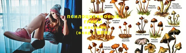 MDMA Алексин