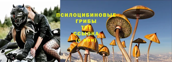 прущие грибы Алексеевка