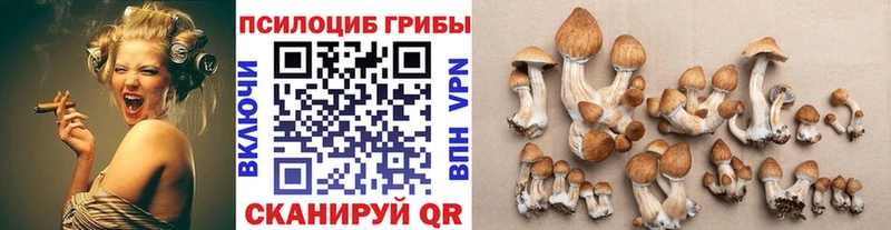 Галлюциногенные грибы GOLDEN TEACHER Жиздра